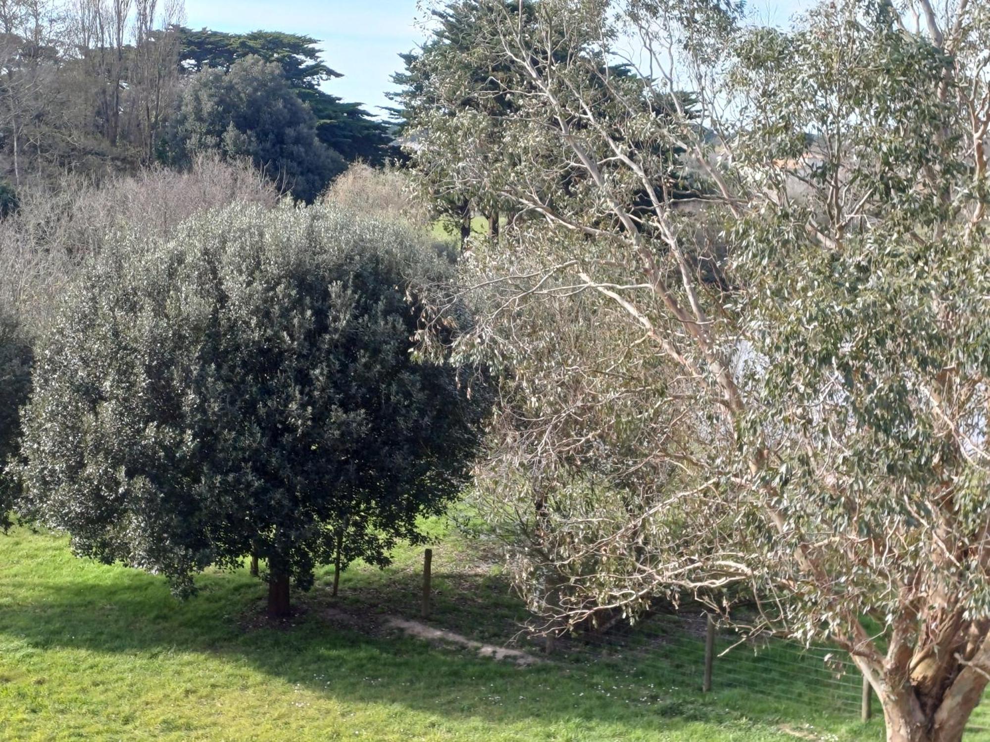 Eco-Domaine La Fontaine - Hotel-Spa Pornic Dış mekan fotoğraf